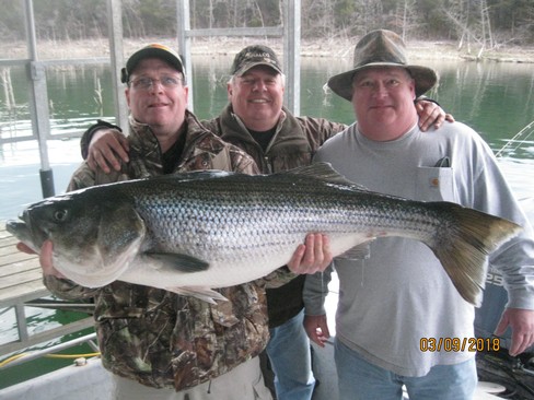 Nice Striped Bass